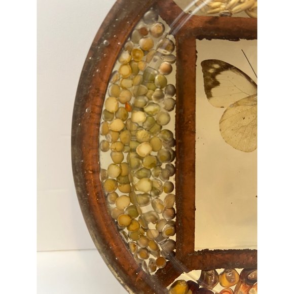 Vintage Pressed Flower Butterfly Seed Bean Corn Round Lucite Hotplate Trivet - Picture 3 of 8